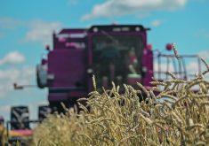 John Barlow is the Tory ag critic and he said Canada is already a world leader in sustainable agriculture, and that there is no need for such strict guidelines for research funded by the Federal Government. | Getty images