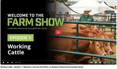 For three days every July, a new village springs to life near Langham, Sask. It’s made up of 100 acres of exhibitors, farm equipment and animals and it attracts more than 30,000 visitors. | Screencap via YouTube/The Western Producer