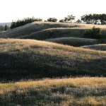Researchers and other speakers will come from across Canada and the United States for the Soil Health and Grazing event in Edmonton Dec. 10-12. | Robin Booker photo