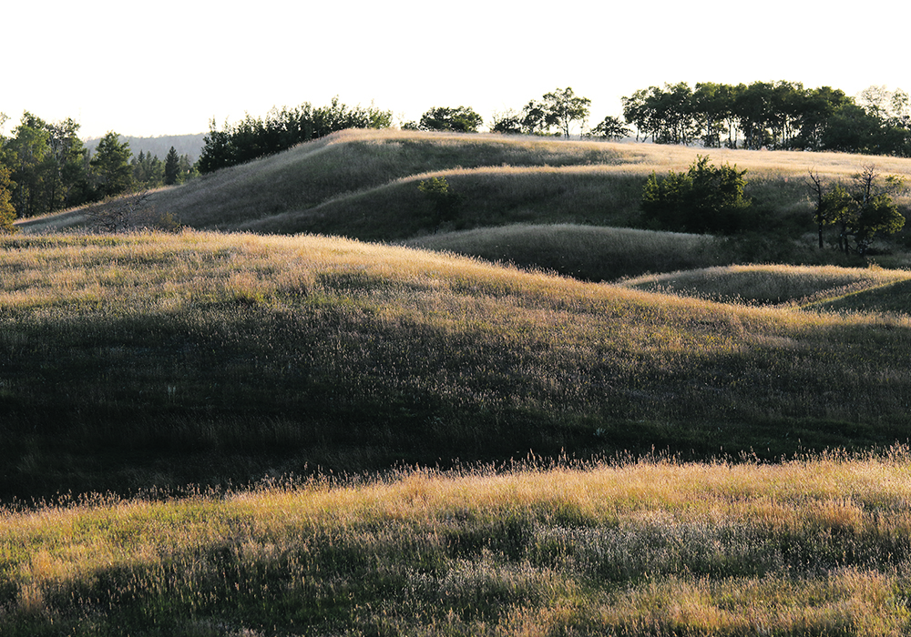 Researchers and other speakers will come from across Canada and the United States for the Soil Health and Grazing event in Edmonton Dec. 10-12.  |  Robin Booker photo