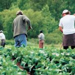 There are certainly plenty of farms and food processors that ethically employ foreign employees. That won’t matter if the political winds continue to swirl as they are. Agriculture will be asked some tough questions, and the sector will need to have credible answers and be above reproach. | File photo