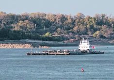 The increase in barge movement on the Mississippi River comes just as grain companies are scrambling to move the second-largest U.S. soy crop before newly harvested Brazilian soy floods the market early next year.  |  Reuters photo