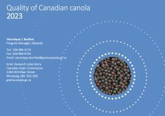 The reason for the lower oil content is pretty simple, said Veronique Barthet, program manager for oilseeds monitoring with the grain commission. | Screencap via .grainscanada.gc.ca