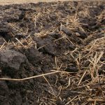 Soil