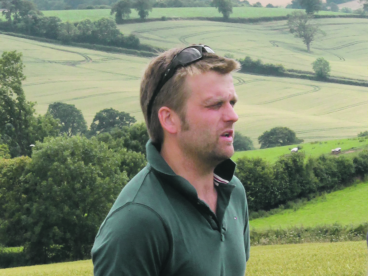 James Lee hopes he and his team have found a balance of projects that benefit the farm rather than just creating busy work. | Olivia Cooper photo