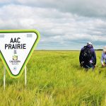 A 2022 field trial near Wawanesa, Man., included newcomer AAC Prairie. | File photo