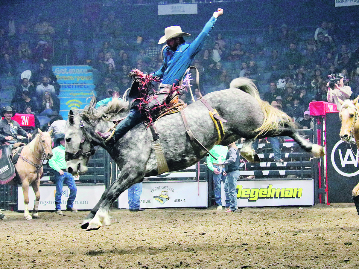 Agribition action - photo essay