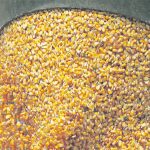 Scott Irwin, agricultural economist at the University of Illinois, said the corn ethanol market in the United States is under duress from electric vehicles and other factors. Fortunately, the shrinking domestic market for the biofuel is being offset by booming exports to Canada. | File photo