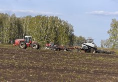 An estimated 37.2 per cent of Russia's winter wheat crop is rated in poor condition versus four per cent last year and the five-year average of 7.3 per cent. | Getty Images