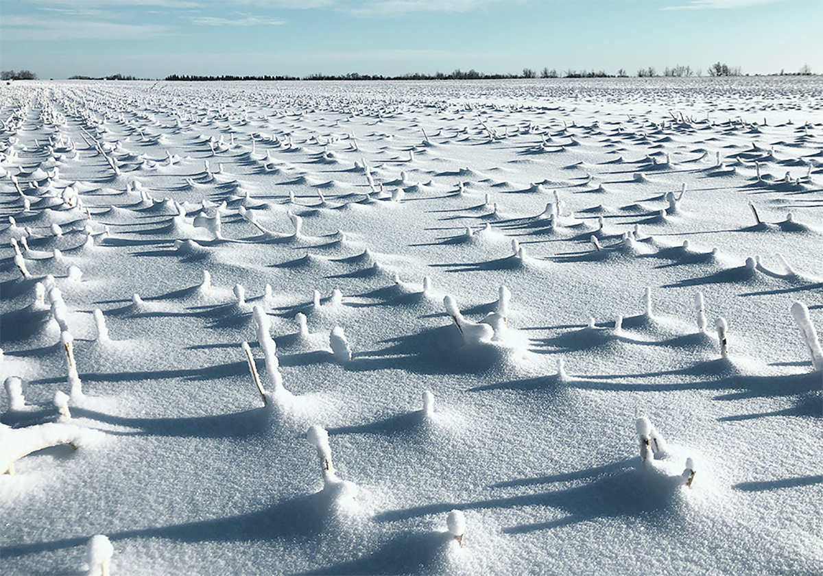 Despite the anticipated shots of cool air caused by the Madden-Julien Oscillation (MJO) and the Polar Vortex, John Baranick, DTN's agricultural meteorologist, is forecasting a warmer-than-usual winter for the U.S. and the Canadian Prairies. | File photo