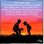 More than just dirt: soil takes proper spotlight