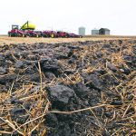 Farm groups are urged to decide how they can best use the Senate’s new soil study to encourage adoption of the recommendations, perhaps in existing programs. | File photo