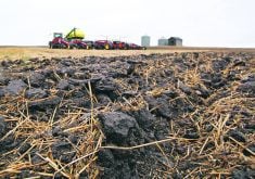 Farm groups are urged to decide how they can best use the Senate’s new soil study to encourage adoption of the recommendations, perhaps in existing programs. | File photo