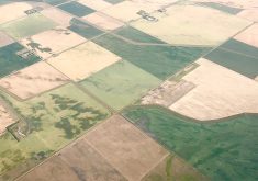 The 40,000 farmland transactions each year in the province are a lot to monitor, but laws aren’t of much use if they have loopholes and aren’t being upheld. | Getty Images