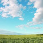 The Saskatchewan auditor, which is recommending that the Farm Land Security Board introduce stricter enforcement of the province’s farmland ownership law, assessed higher-risk transactions between Aug. 1, 2023, and July 24, 2024, and found them all to be compliant. | File photo