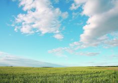 The Saskatchewan auditor, which is recommending that the Farm Land Security Board introduce stricter enforcement of the province’s farmland ownership law, assessed higher-risk transactions between Aug. 1, 2023, and July 24, 2024, and found them all to be compliant. | File photo
