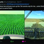 Curtis Wightman from Neilburg, Sask., said this was the best start and the worst finish he's ever had growing canola. | Curtis Wightman photos