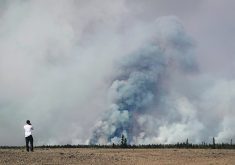 Cattle producers recommend better regulations and communication at all levels of government during wildfires, taking local input into account and developing a process to acknowledge some producers must shelter in place. | Reuters photo