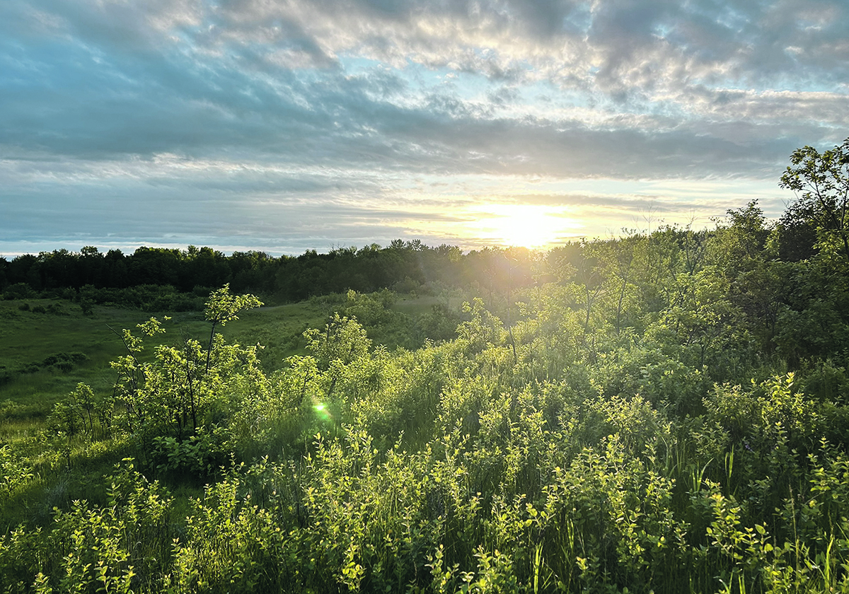A Neepawa, Man., family partnered with the Nature Conservancy of Canada to protect the 440-acre Langford Escarpment. | Lauren James photo