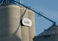 Agricultural merchants, including privately held Cargill, are under pressure as prices of the commodity crops they trade, such as wheat, corn and soybeans, have dropped to near four-year lows and crop processing margins have shrunk. | File photo