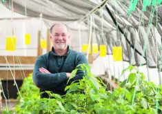 Nick Savidov wants to determine if and how canola byproducts could nourish farmed fish. | Lethbridge Polytechnic photo