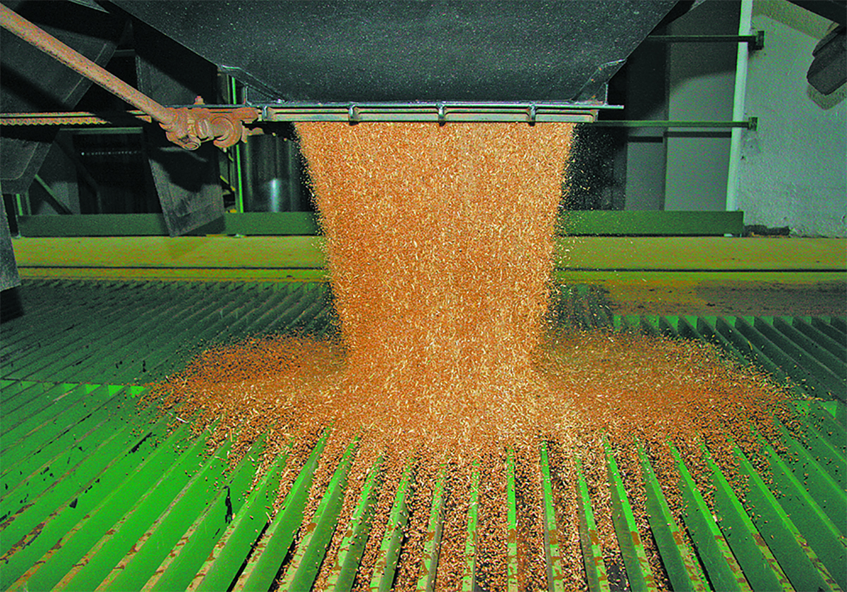 Two of three justices agreed with the 2023 decision of Swift Current King's Bench court that Achter Land & Cattle Ltd. had accepted a contract with South West Terminal Ltd. when Chris Achter texted a thumbs-up to the grain buyer. | File photo