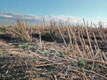 Soil health has been a major focus of federal policies in recent years. | File photo