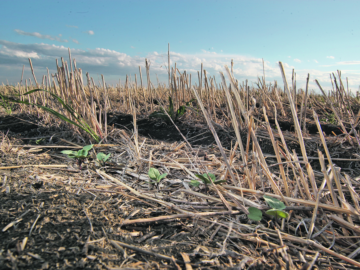 Soil health has been a major focus of federal policies in recent years. | File photo