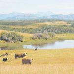 “Sustainability” doesn’t have to be a dirty word, and farmers can be leaders in showing the rest of the country why it’s not. | File photo