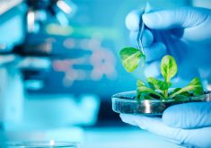 Some Agriculture Canada scientists have also criticized the shift in priorities, saying the federal government got bored with traditional agricultural research, such as plant breeding. | Getty Images