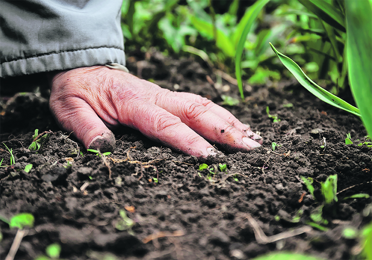 One of the challenges when trying to wrap our heads around the idea of regenerative agriculture is coming up with an adequate definition. | Getty Images