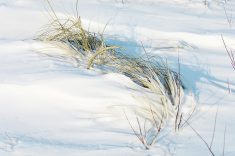 Reynald Lemke, a research scientist with Agriculture and Agri-Food Canada, has proven that biological activity in soil is year-round and so are nitrogen emissions. | Getty Images