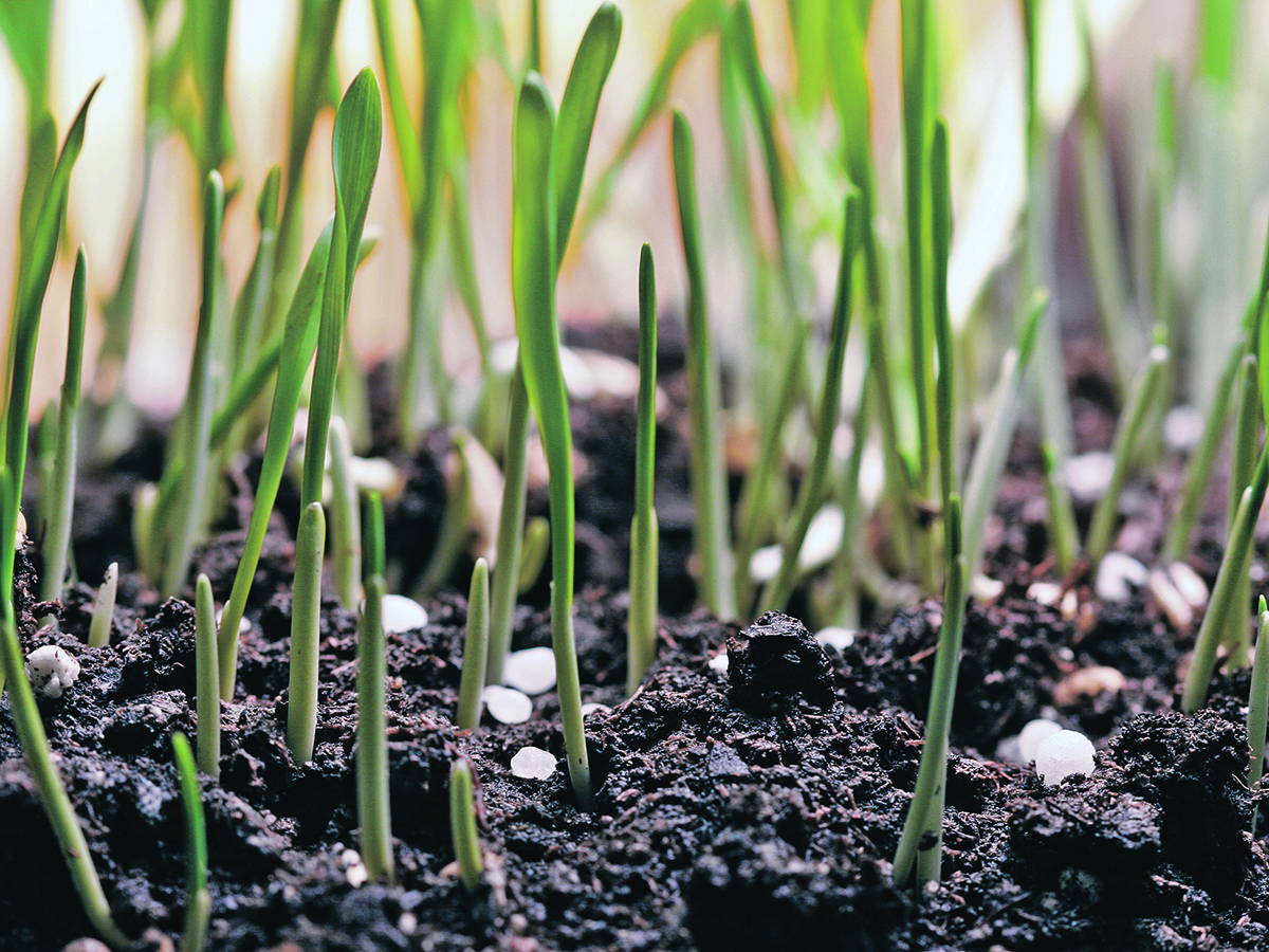 Several organizations that had been participating in the Sustainable Agriculture Strategy’s advisory committee withdrew from the committee late last year. |  File photo