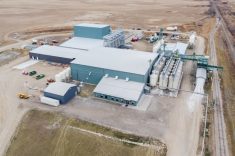 The company said it expects to sell the facility, which employed approximately 20 people. | Screencap via proteinindustriescanada.ca