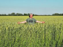 Lukijan Strebchuk stands in a healthy winter triticale crop on his family’s farm, which is making cover cropping work in northwestern Alberta. | Supplied photo