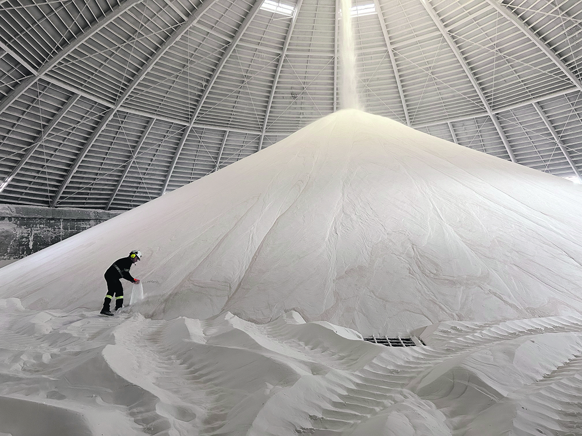 Potassium, which is applied on cereal and oilseed crops as potash fertilizer, is considered to be as crucial to the growing process as nitrogen and phosphorus. | File photo