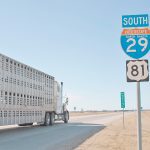A semi hauling pigs drives south past a North Dakota highway sign.