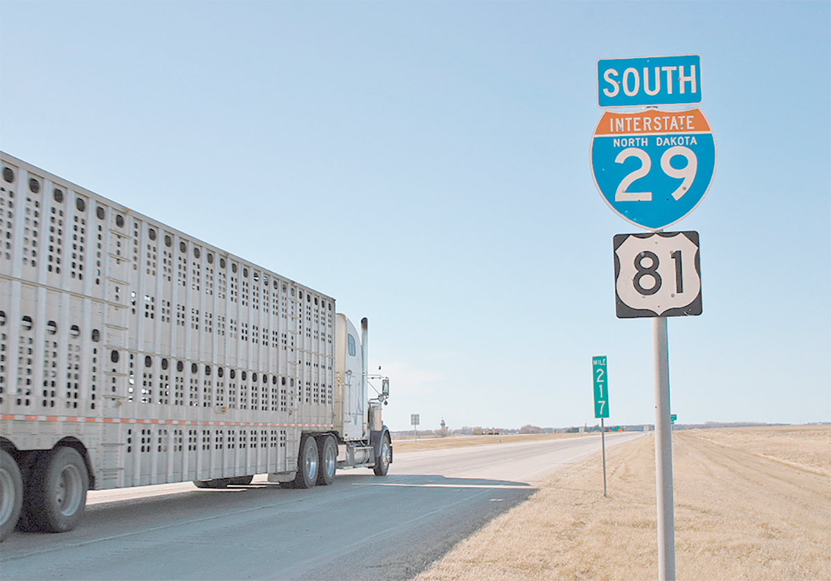 A semi hauling pigs drives south past a North Dakota highway sign.