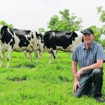 Farmer Tim May kneels in some lush, green grass with some dairy cattle behind him.