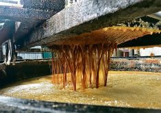 Close-up photo of the surface of a giant vat of used cooking oil with more pouring in through some kind of strainer above.
