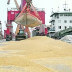 Imported soybeans sit in a pile on a dock in China.