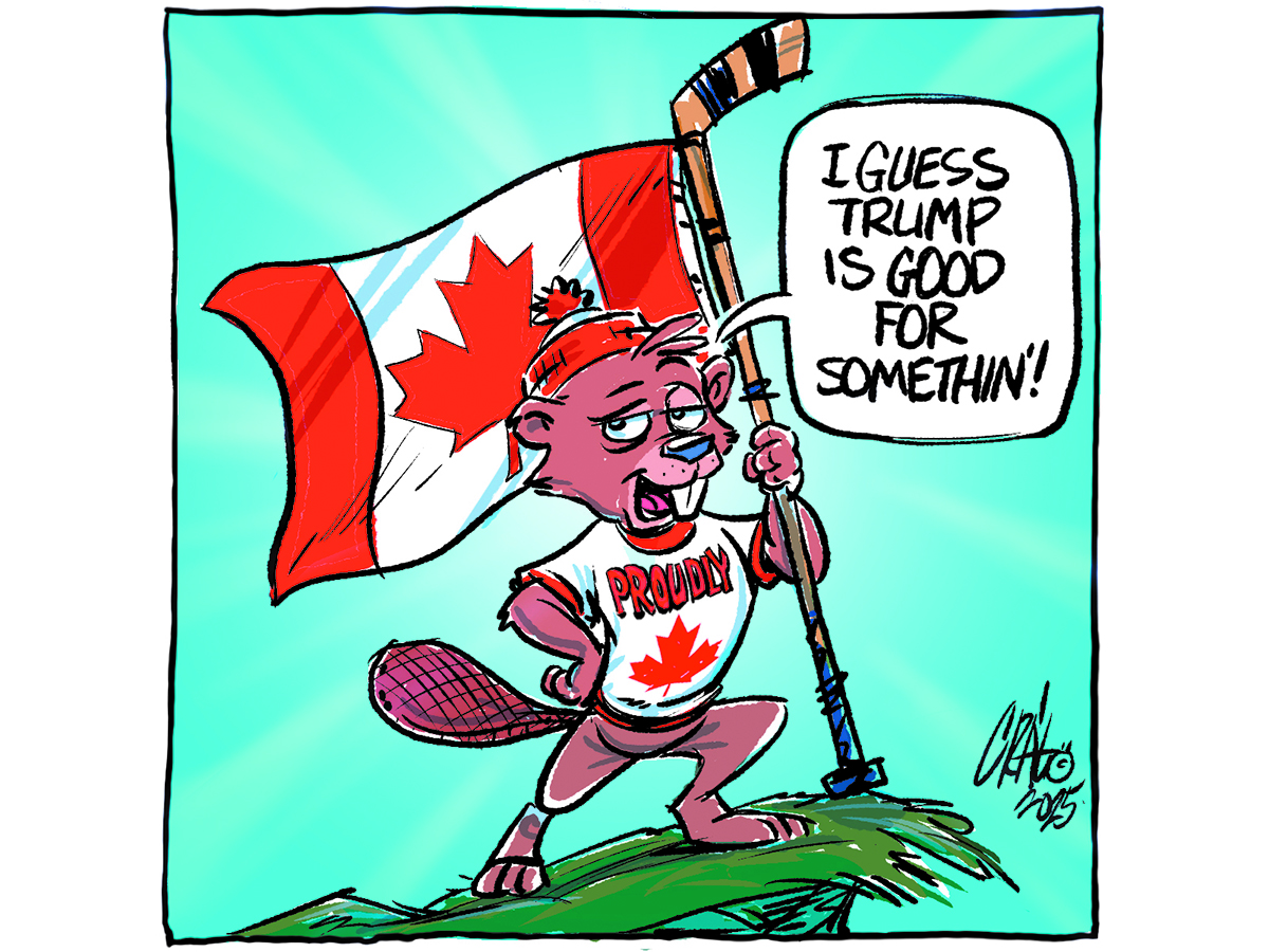 Cartoon of a beaver, wearing a maple leaf toque and a shirt with "Proudly" above a maple leaf on his chest, is holding a hockey stick with a Canadian flag tied to it and saying, "I guess Trump is good for somethin'!"