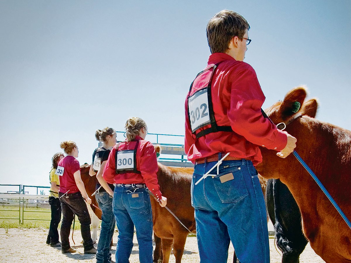 A line of 4-H beef competitors stand at the head of their animals.
