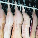 Pig carcasses hang in a meat locker.