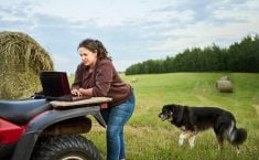 A woman working on a laptop on the rear fender of quad in a field.