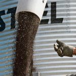 Canola seed flows from an auger with a bin in the background.