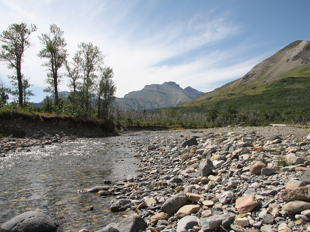 A low angle shot of a mountain river with rocks and trees along its shores.