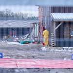 A person in protective clothing puts on a cap while standing between stables on a farm in Mehrow. As a precautionary measure against the possible spread of foot-and-mouth disease, around 200 pigs are to be killed this morning in the Barnim district of Brandenburg.