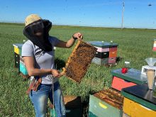 Renata Labuschagne, tech transfer program lead with the Alberta Beekeepers Commission, spoke at a webinar hosted by Alberta Agrisystems Living Lab. Labuschagne talked about the bee industry, the commission and the challenges beekeepers face. | Supplied Photo