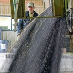 “The U.S. decision to go forward with 25 per cent tariffs on Canadian-grown canola and canola products will be felt across the canola value chain, with devastating impacts on farmers, input providers, canola crushing activities, and exports of canola seed, oil, and meal,” said Chris Davison, Canola Council of Canada (CCC) president and CEO, in a media release. | File photo